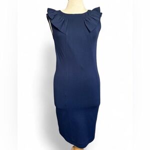 Banana republic navy blue ruffle top Gail sheath dress